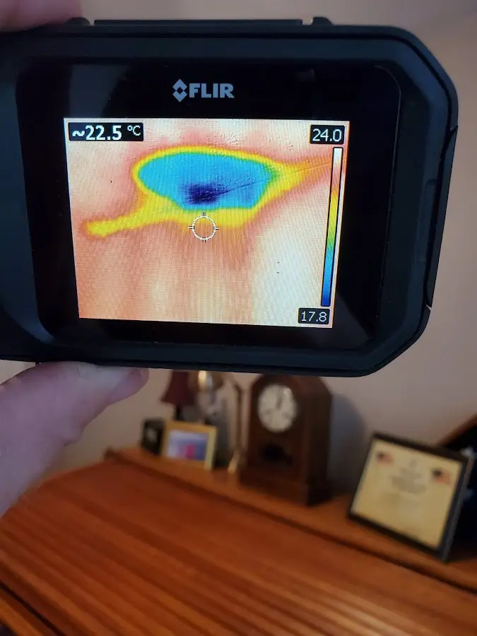 Thermal imaging inspection for water damage in Southern Pines